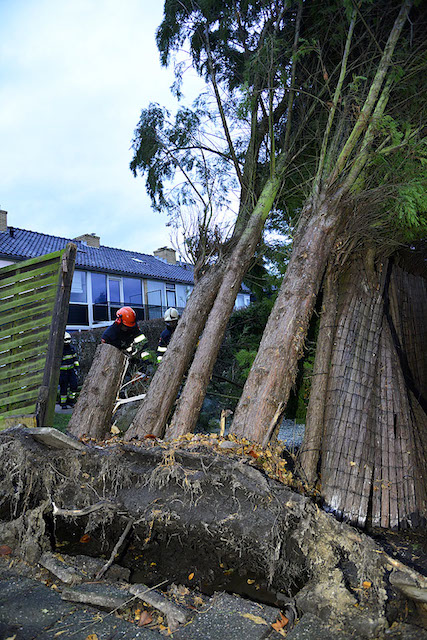 2013/326/GB 20131224a 003 Kam Onneslaan stormschade.jpg